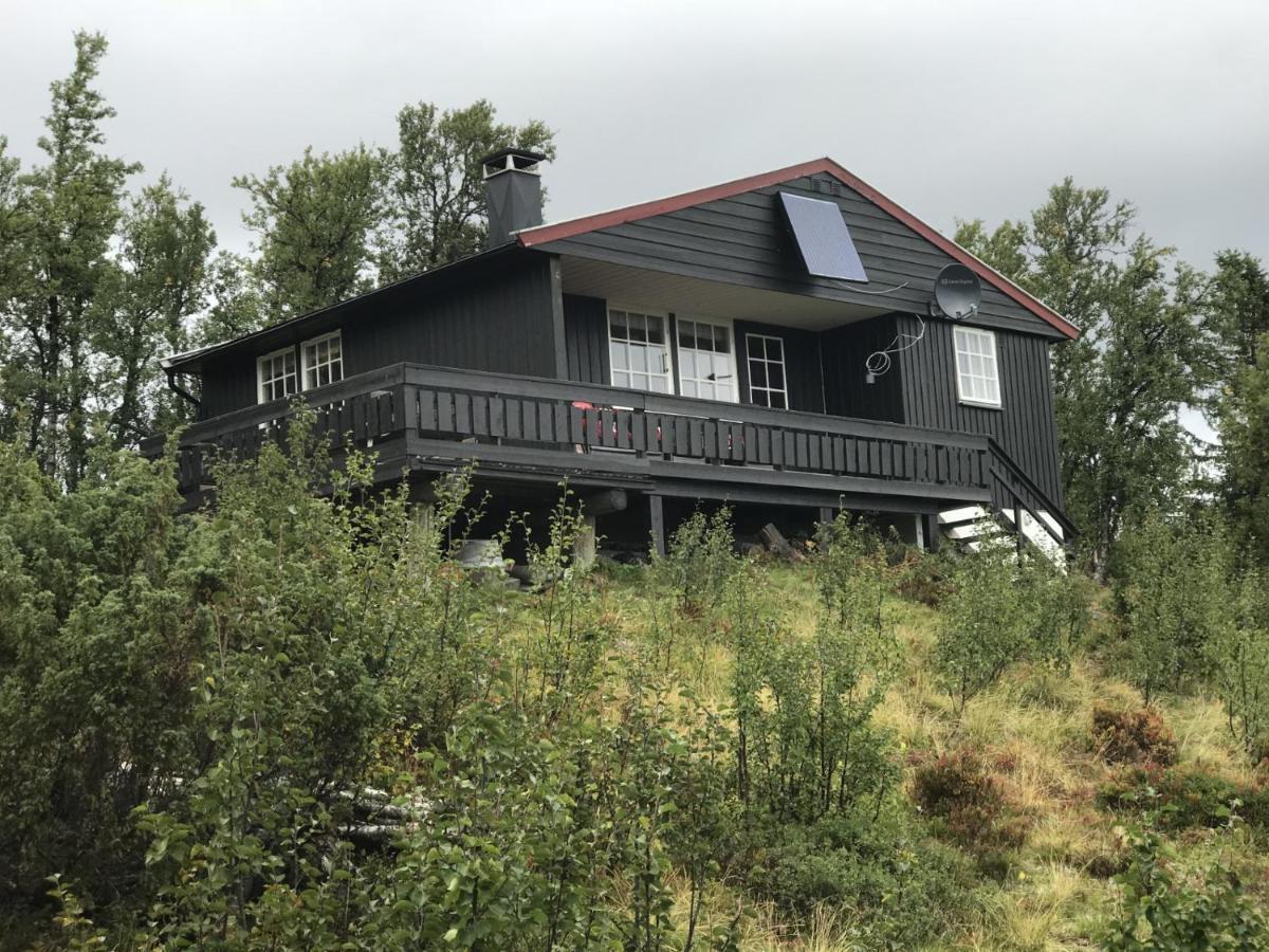 Cabin In The Mountain, Outstanding View & Solar Energy Vollen Eksteriør bilde